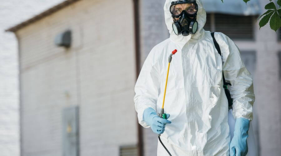 Professional pest control services in McKinney - Ants & Rodents Pest Control McKinney